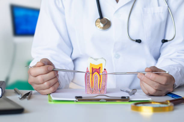 Best Emergency Orthodontic Repairs in Black Mountain, NC